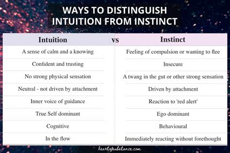 What are the five instincts of Jung?
