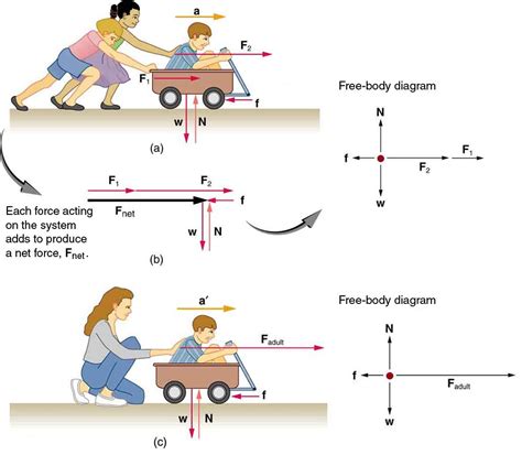 What are the forces acting on a swing?