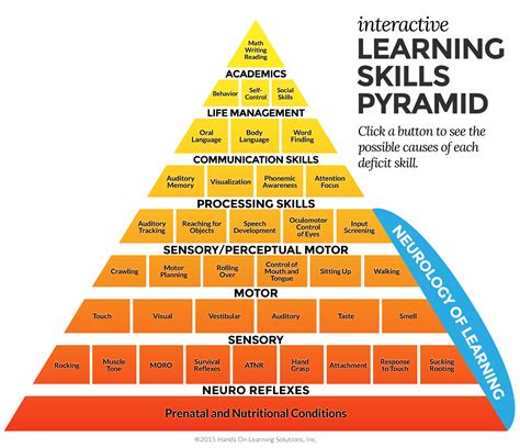 What are the four areas of skill development?