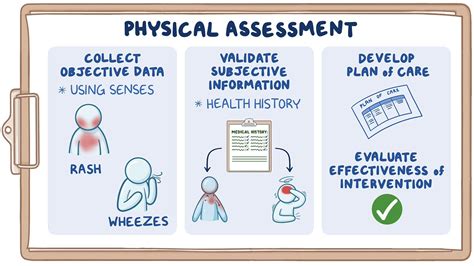 What are the four components of a health assessment?