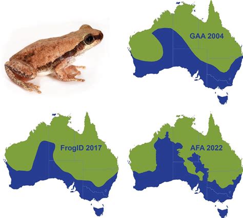 What are the frog families in Australia?