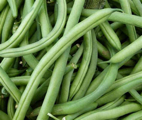 What are the green beans called?