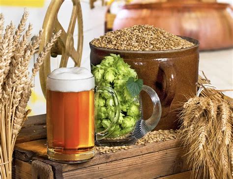 What are the ingredients in all grain beer?