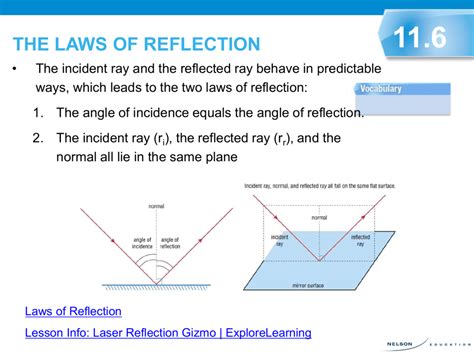 What are the laws of reflection?