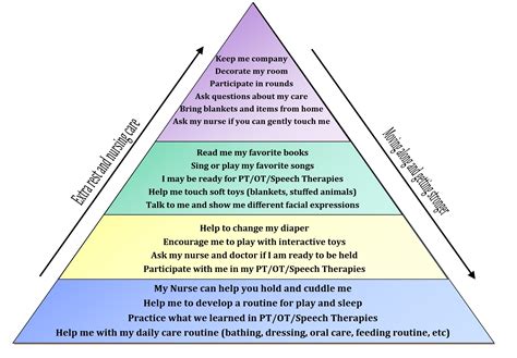 What are the levels of support therapy?