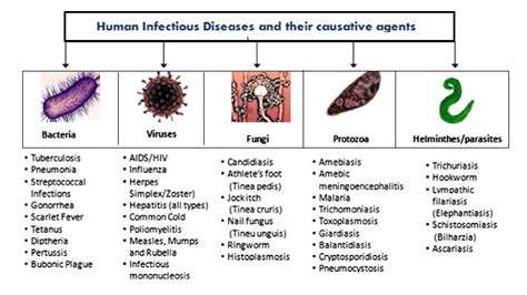 What are the main infectious agents?