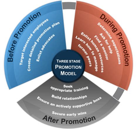 What are the main stages of promotion?