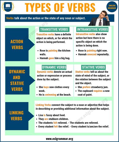 What are the main types of verbs?