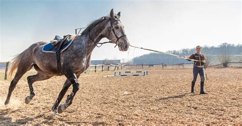 What are the methods of training horses?