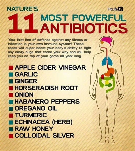 What are the most efficient antibiotics?