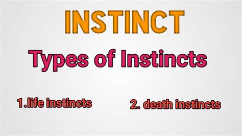 What are the names of instincts?