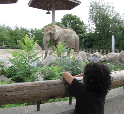 What are the names of the elephants in the Toronto Zoo?