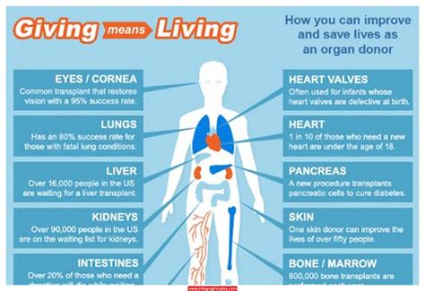 What are the negatives of organ donation?