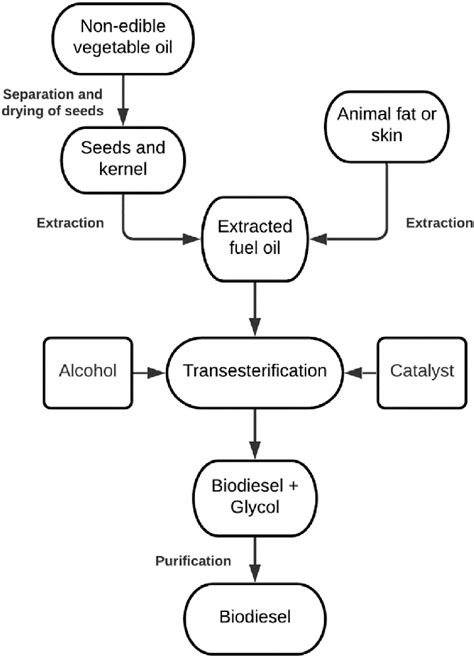 What are the non-edible oils for biodiesel production?