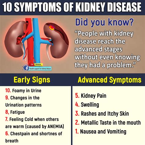 What are the number 1 symptoms of kidney disease?