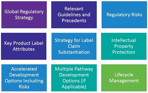What are the objectives of regulatory strategy?