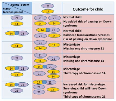 What are the odds of Down syndrome at 42?