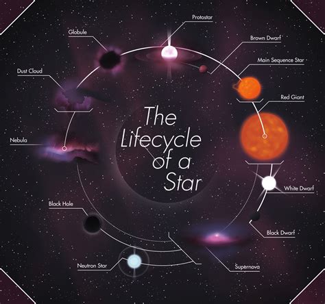 What are the outcomes of a star?