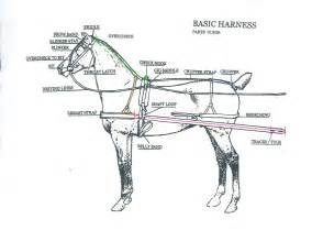 What are the parts of a harness called?