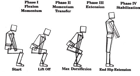 What are the phases of sit to stand?
