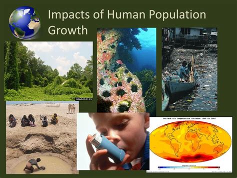What are the positive effects of population growth on the environment?