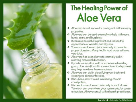 What are the powers of aloe vera?
