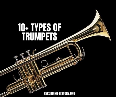 What are the really long trumpets called?