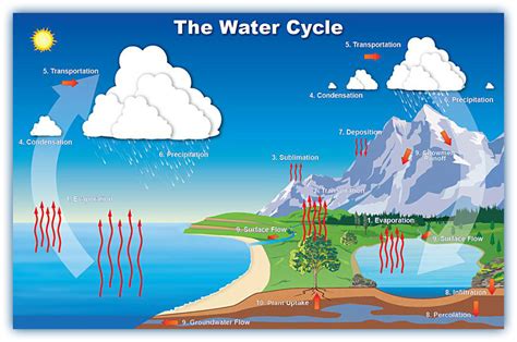 What are the reversible changes in water cycle?