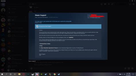 What are the risks of sharing Steam account?