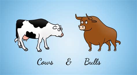 What are the rules for bulls and cows?