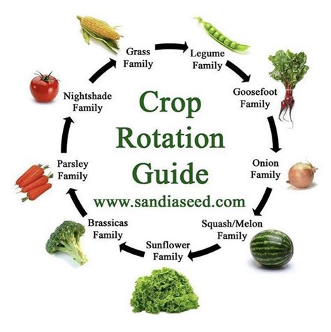 What are the rules for crop rotation?