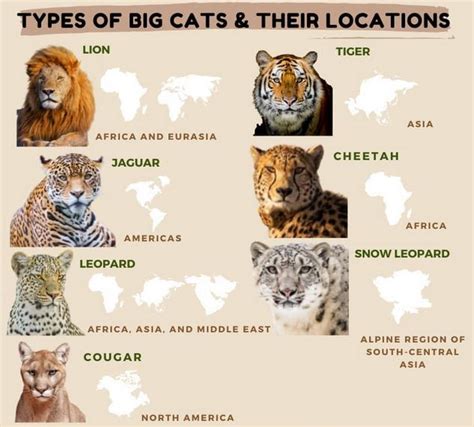 What are the seven big cats?