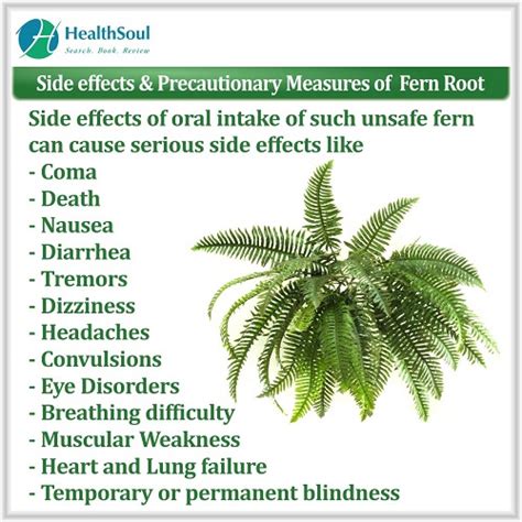 What are the side effects of eating fern?