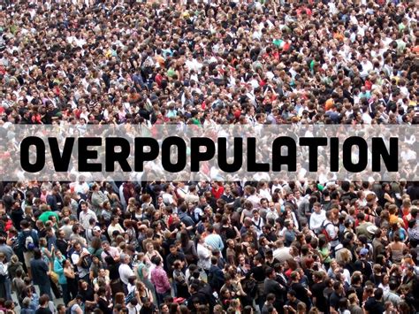 What are the social issues of overpopulation?