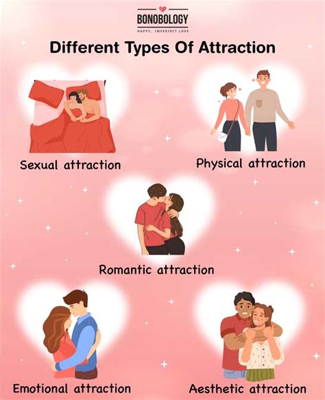 What are the stages of sexual attraction?