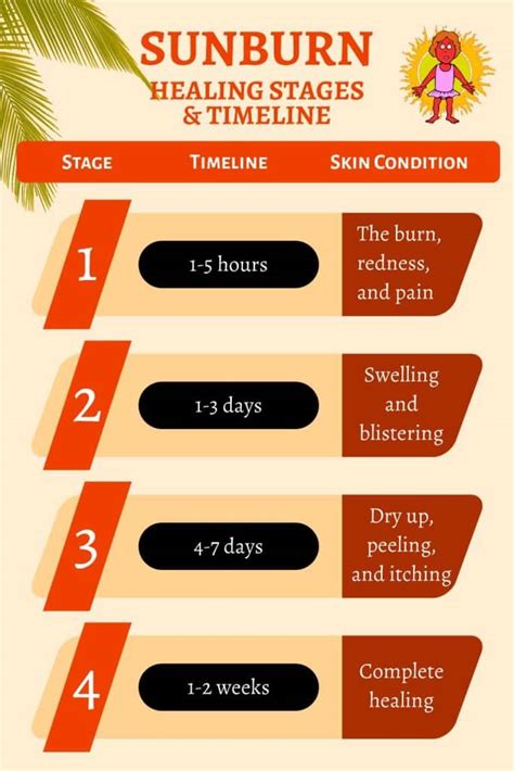 What are the stages of sunburn?