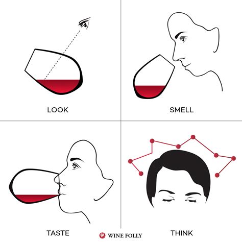 What are the stages of wine taste?