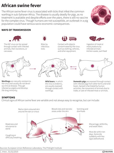 What are the symptoms of a pig blockage?