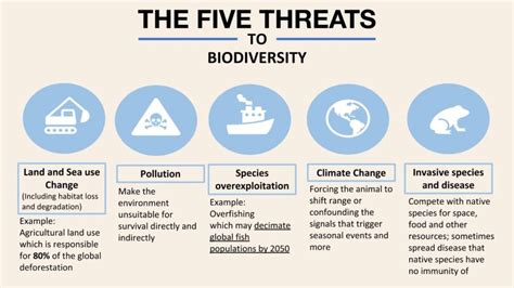 What are the threats to biodiversity in Toronto?