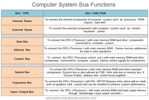 What are the three buses and the functions?