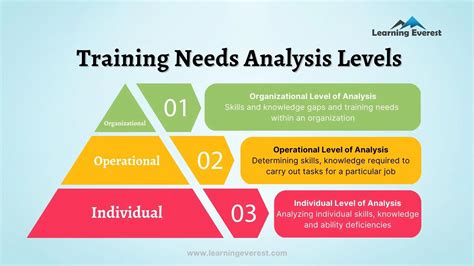 What are the three levels of needs assessment?