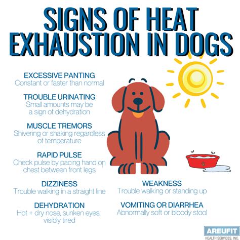 What are the three stages of heat exhaustion in dogs?