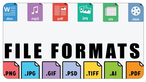 What are the three types of file formats?