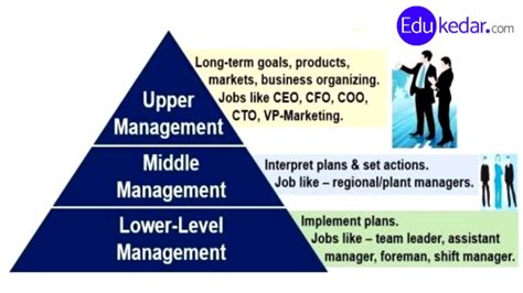 What are the three types of management?