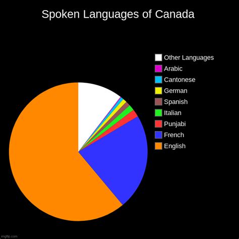 What are the top 10 languages spoken in Canada?