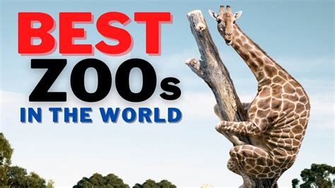 What are the top 5 biggest zoos in the world?