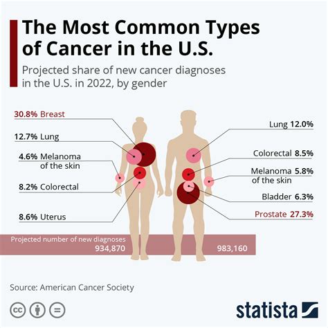 What are the top 5 cancers?