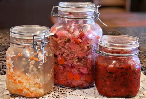 What are the top 5 fermented foods?