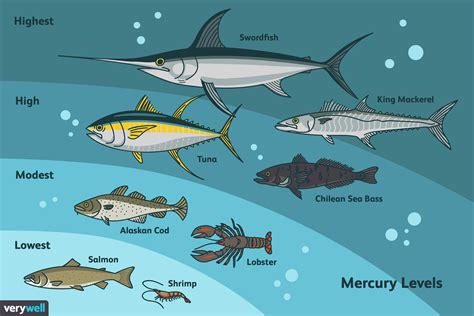 What are the top 5 fish with mercury?
