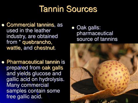 What are the toxic effects of tannins?